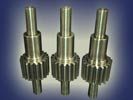 Spur Gear