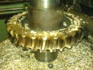 Worm Wheel Gear